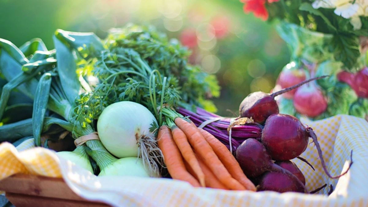 Природний захист серця: продукти-помічники для чистоти та здоров’я судин
